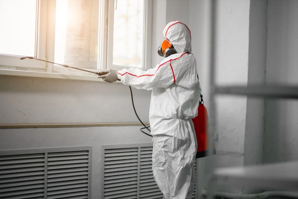 Professional mold remediation services in Foster, RI
